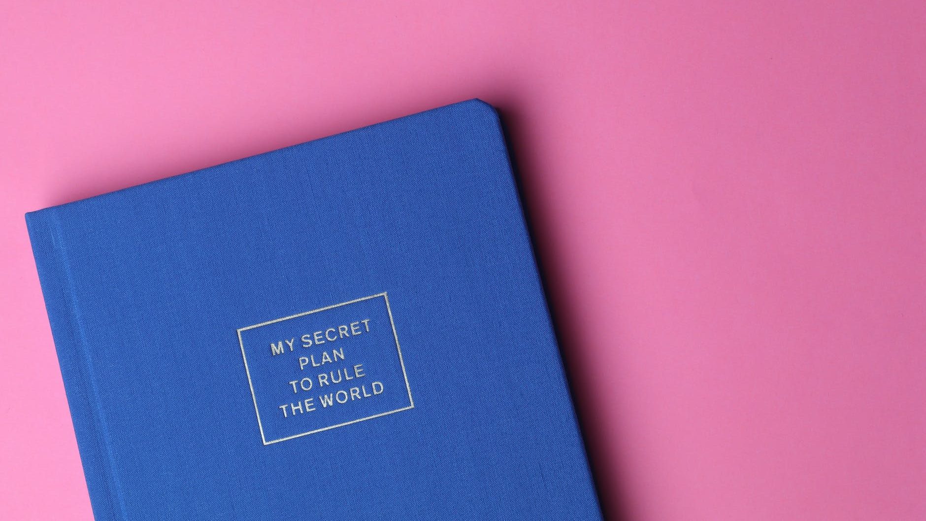 my secret plan to rule the world book